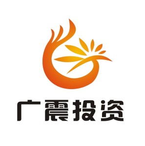 上海廣震投資管理 專業(yè)投資咨詢的明智選擇